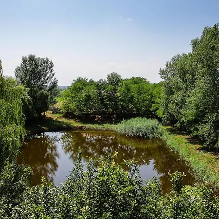 Tulip Garden Panzio Bed & Breakfast 3*