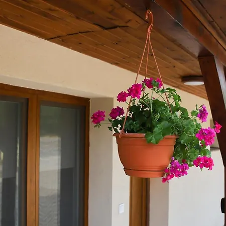 Tulip Garden Panzio Bed & Breakfast