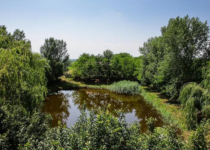 Tulip Garden Panzió Alojamento de Acomodação e Pequeno-almoço 3*